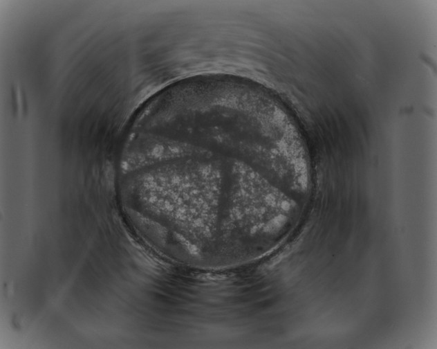 X0000092251505200710121248