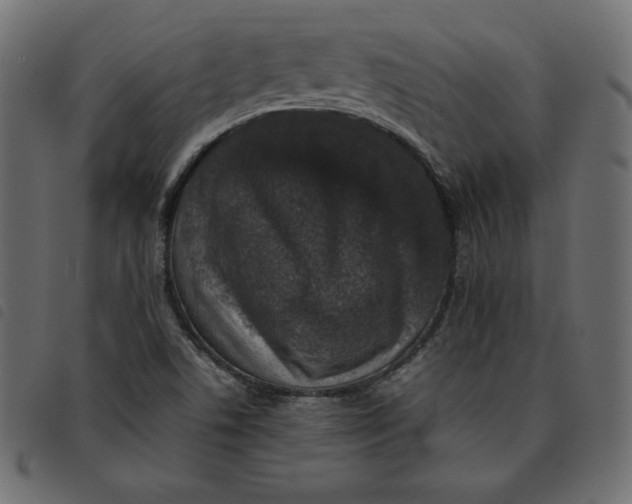 X0000092251506200710121248