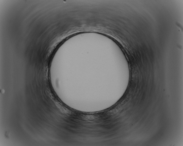 X0000092251507200710121248