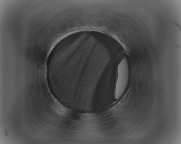 X0000092251508200710121248
