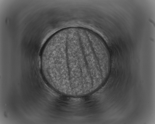 X0000092251509200710121248
