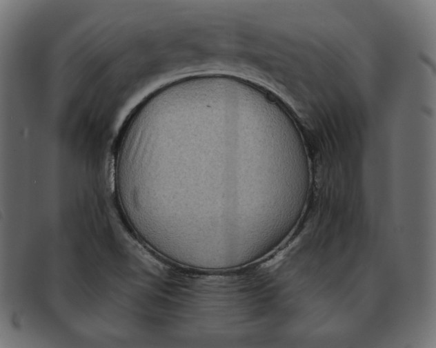 X0000092251510200710121248