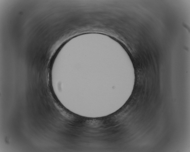 X0000092251511200710121248