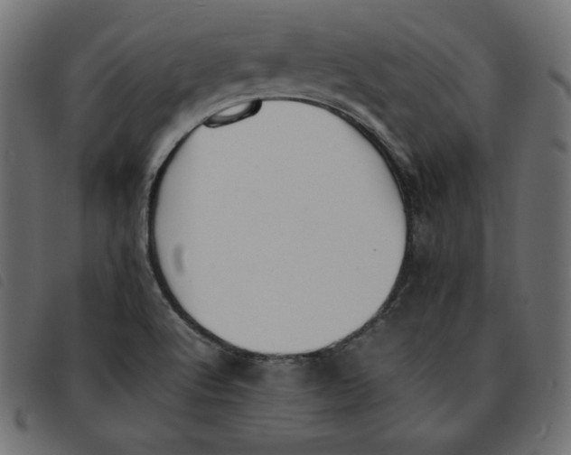 X0000092251512200710121248