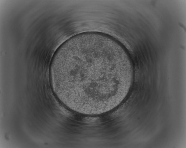 X0000092251513200710121248