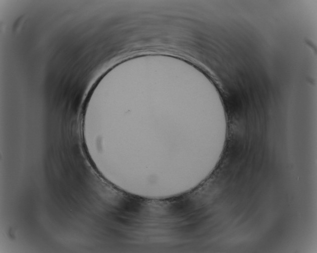 X0000092251514200710121248