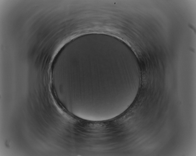 X0000092251515200710121248