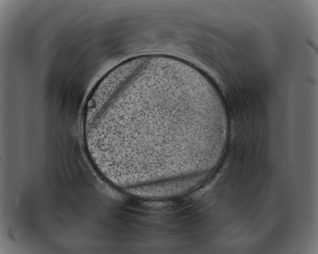 X0000092251517200710121248