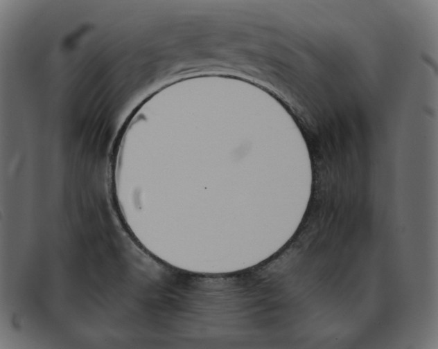 X0000092251518200710121248