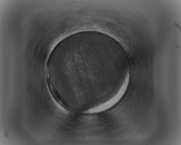 X0000092251519200710121248