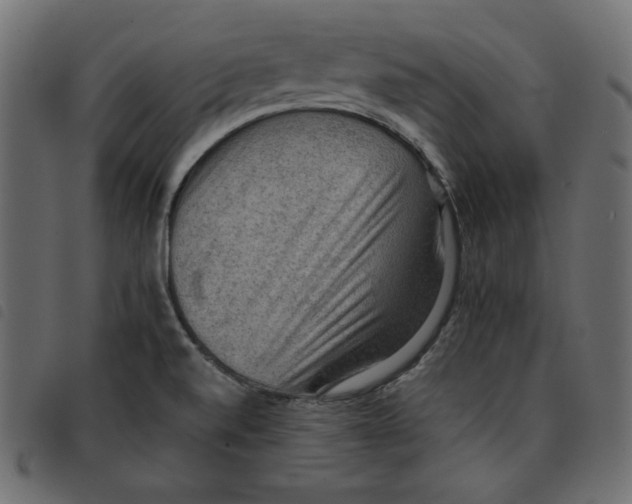X0000092251520200710121248