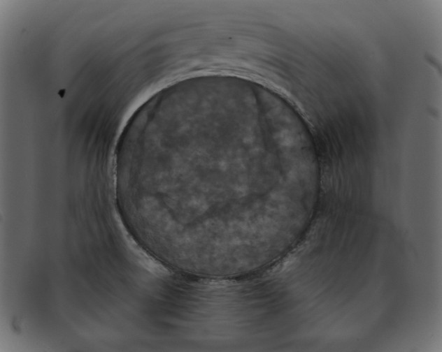 X0000092251522200710121248