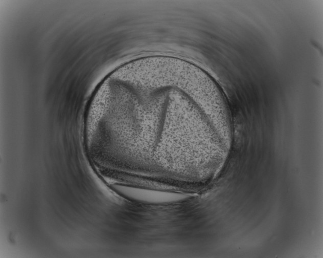 X0000092251523200710121248