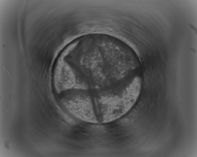 X0000092251525200710121248