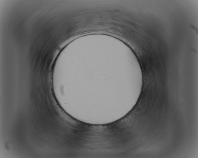 X0000092251526200710121248
