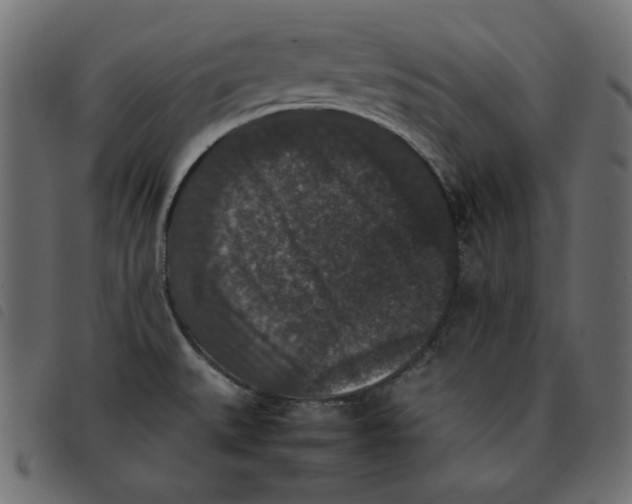 X0000092251527200710121248