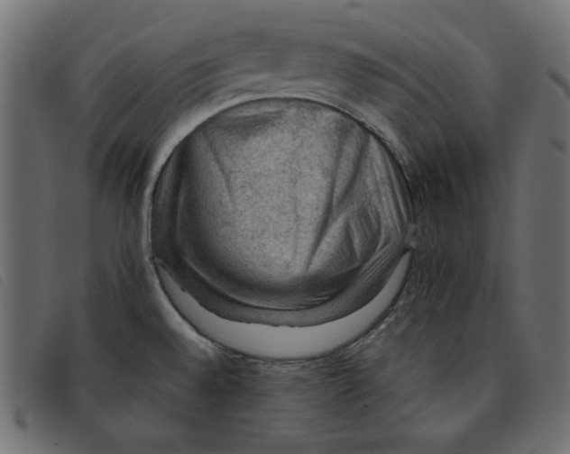 X0000092251528200710121248