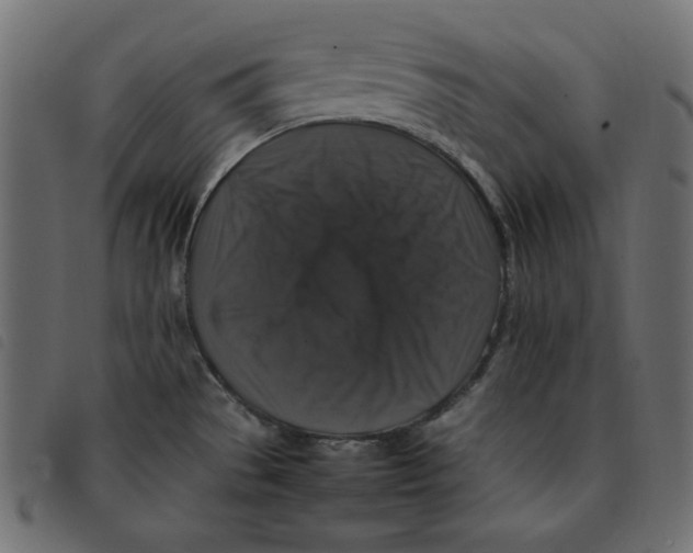 X0000092251529200710121248