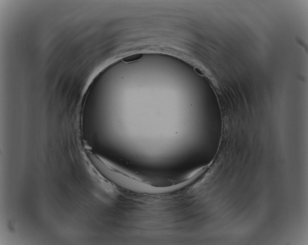 X0000092251530200710121248