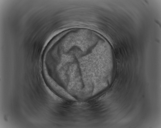 X0000092251531200710121248