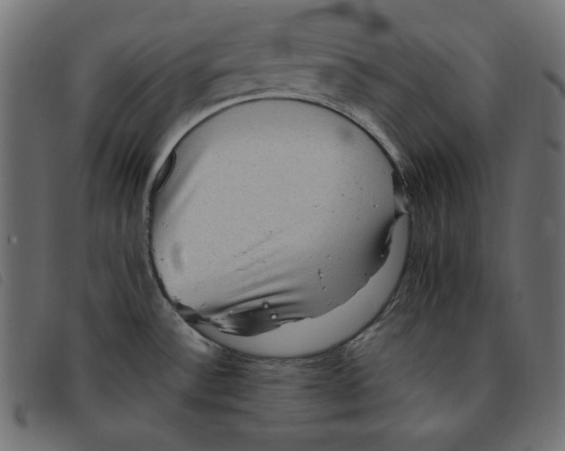 X0000092251532200710121248