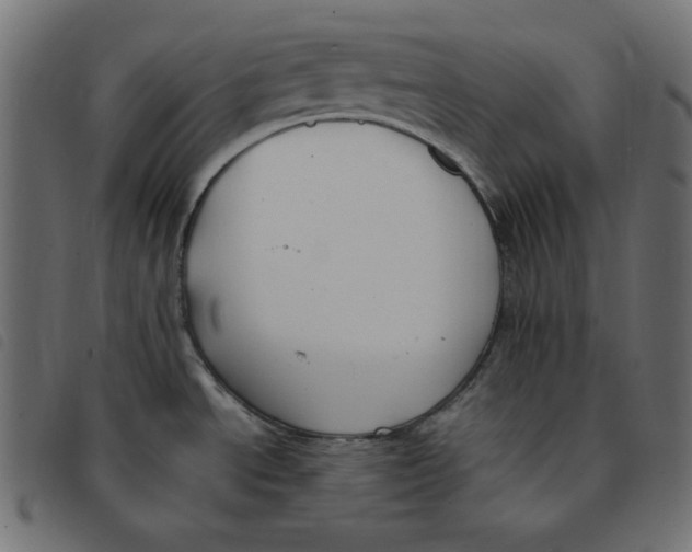 X0000092251534200710121248