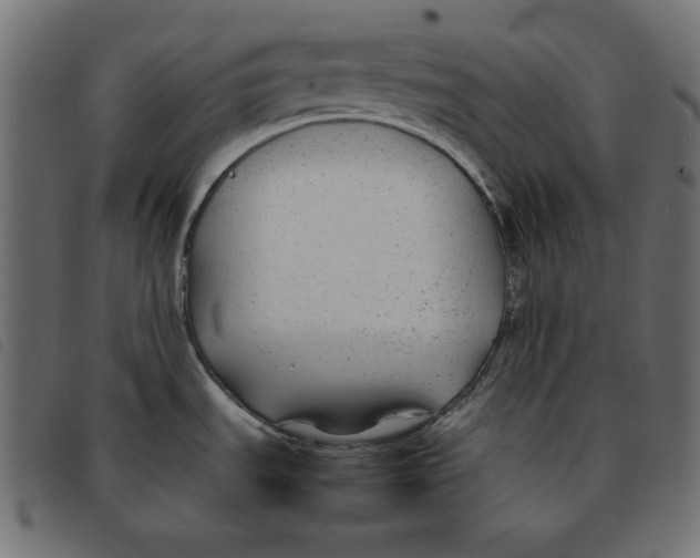 X0000092251535200710121248
