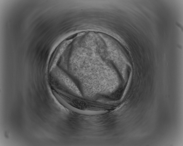 X0000092251536200710121248
