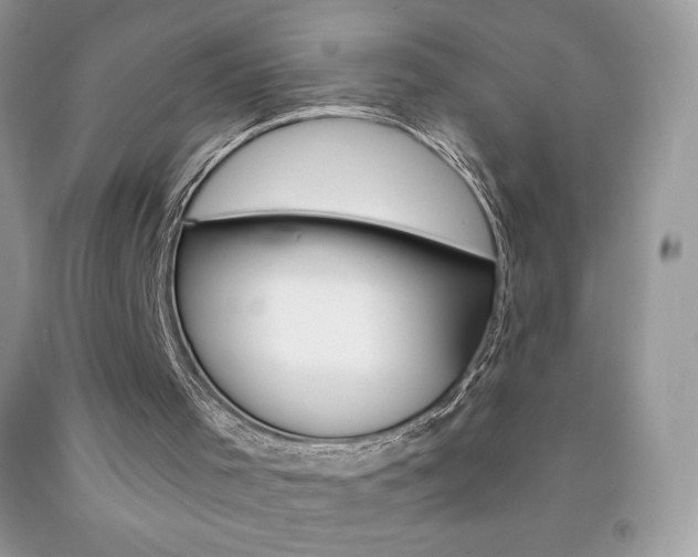 X0000092260001200709141035