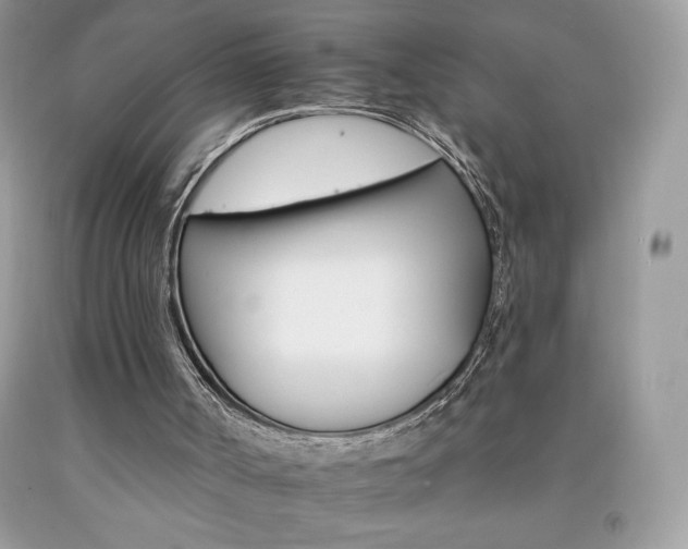 X0000092260002200709141035