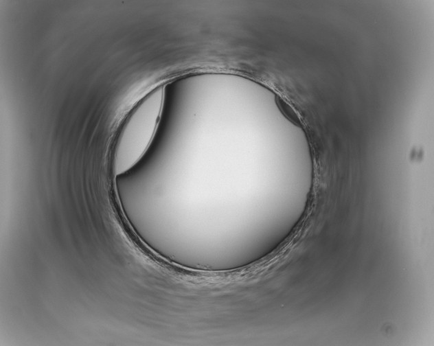 X0000092260005200709141035