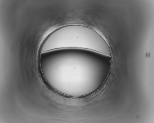 X0000092260008200709141035