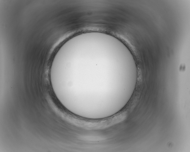 X0000092260016200709141035