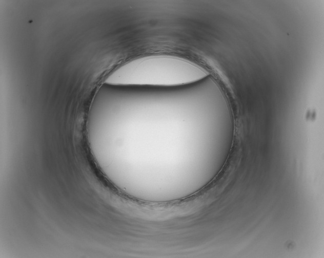 X0000092260018200709141035