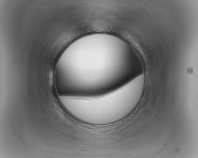 X0000092260019200709141035