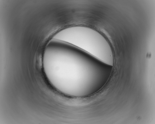 X0000092260020200709141035