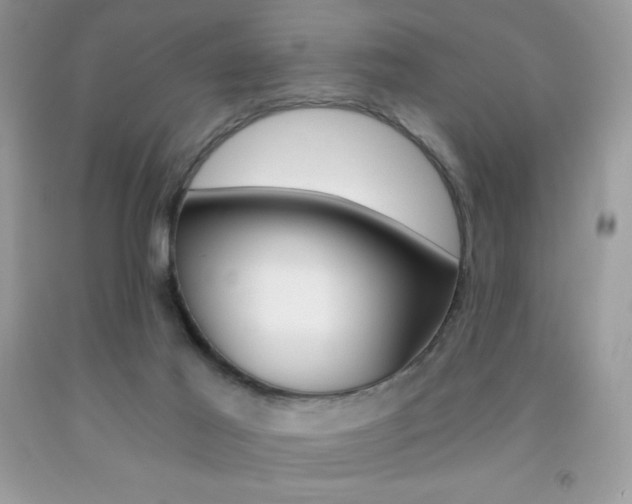 X0000092260021200709141035