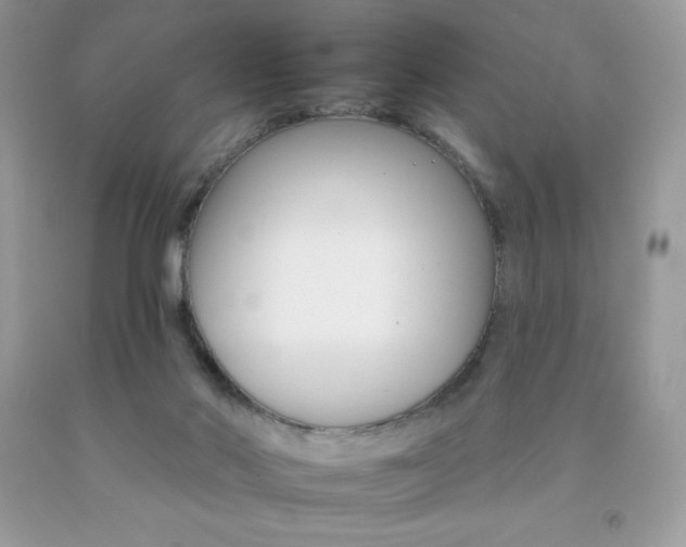 X0000092260022200709141035