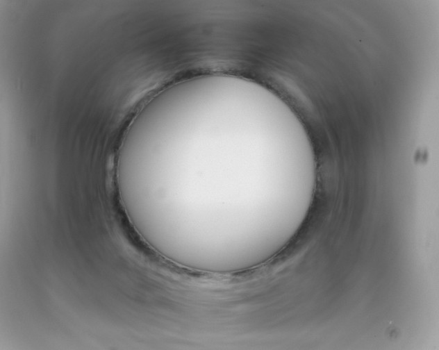X0000092260024200709141035