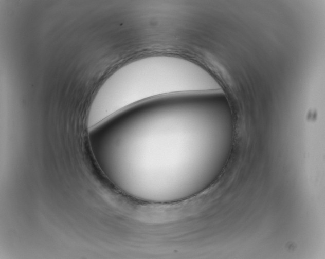 X0000092260025200709141035