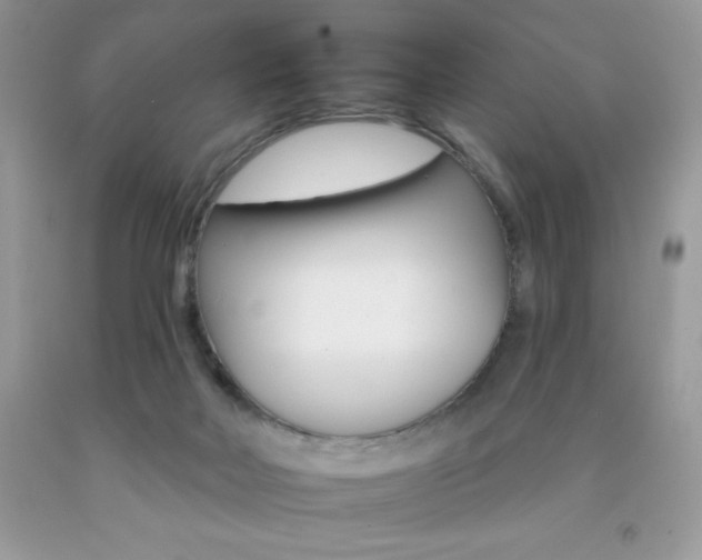 X0000092260026200709141035
