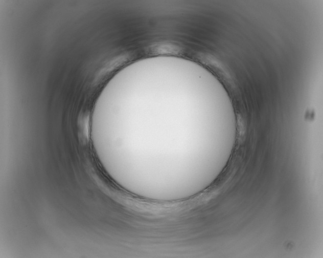 X0000092260028200709141035