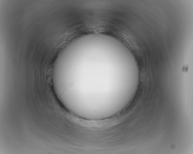 X0000092260030200709141035
