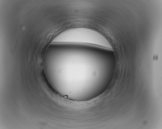 X0000092260031200709141035