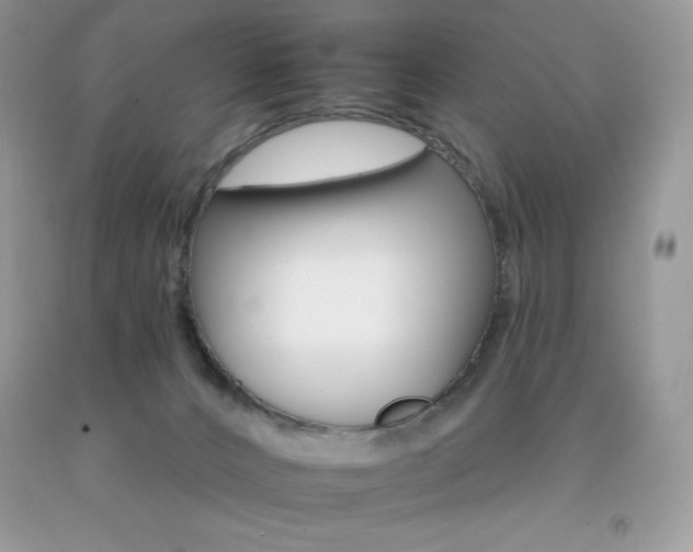 X0000092260032200709141035