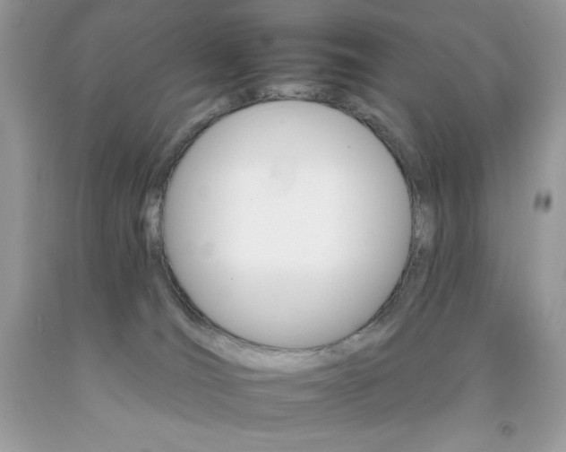 X0000092260036200709141035