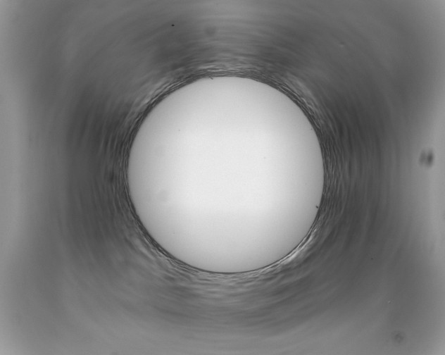 X0000092260045200709141035