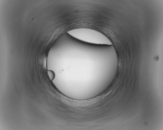 X0000092260046200709141035