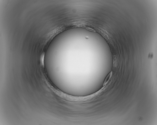 X0000092260047200709141035