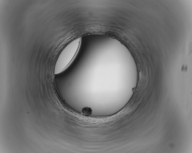 X0000092260048200709141035